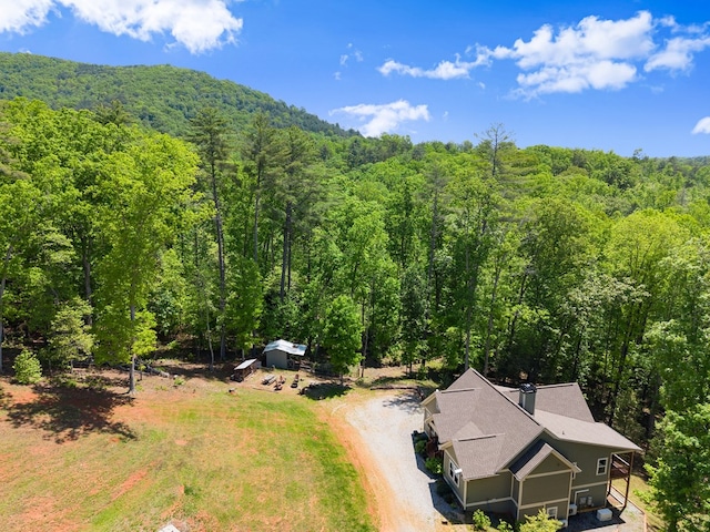 457 Celie Ann Seabolt Rd, Cleveland, GA 30528 - view from above of property with a heavily wooded area