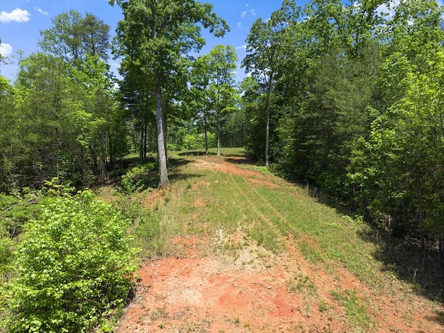 457 Celie Ann Seabolt Rd, Cleveland, GA 30528 - view of yard featuring a wooded view