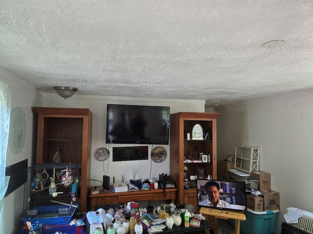 living room featuring a textured ceiling