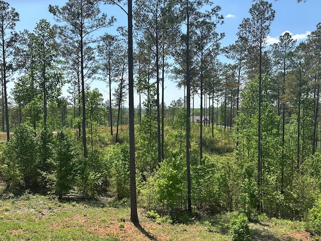 view of landscape featuring a view of trees