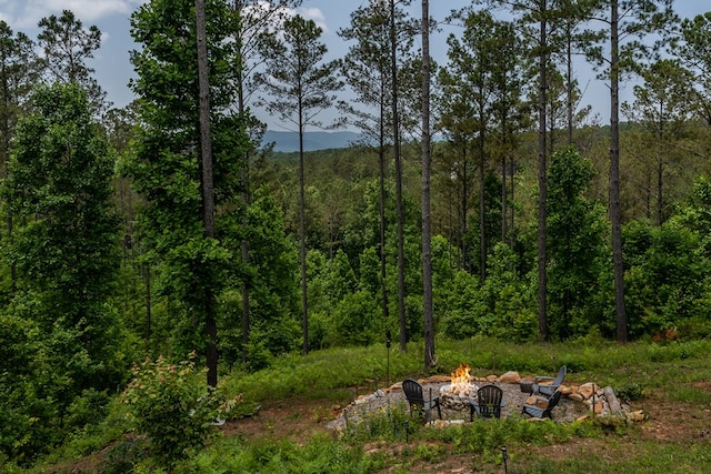 230 High River Lndg, Ellijay, GA 30540 - view of yard with an outdoor fire pit and a wooded view