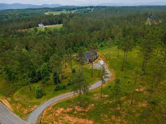 230 High River Lndg, Ellijay, GA 30540 - drone / aerial view of a forest and a mountainous background