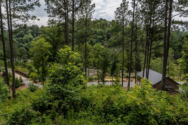 230 High River Lndg, Ellijay, GA 30540 - view of tree filled area