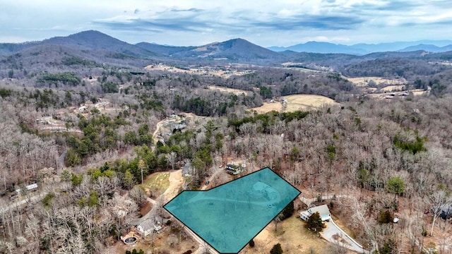 birds eye view of property featuring a mountain view