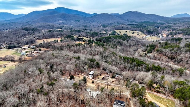 birds eye view of property with a mountain view