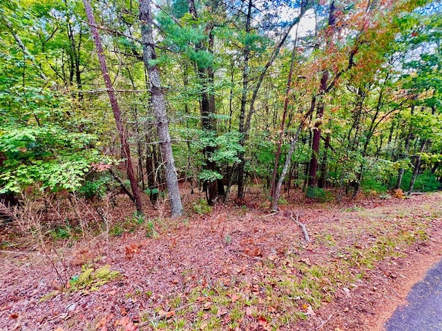 577 Tonto Dr, Ellijay GA, 30540 land for sale