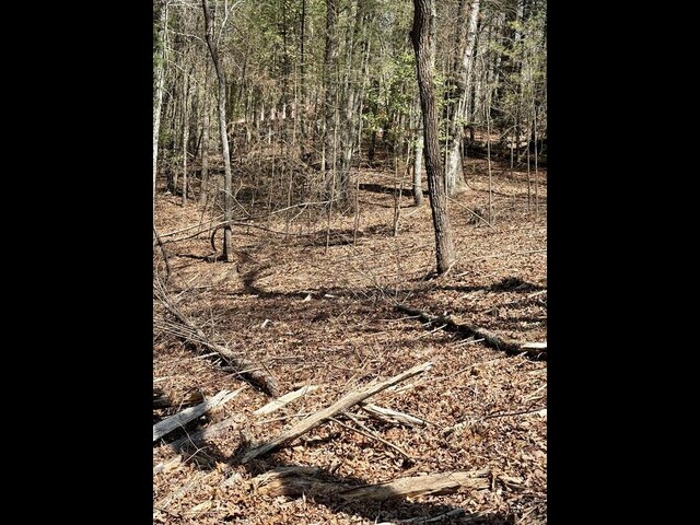 TR2 E New Hope Rd E, Ellijay, GA 30536
