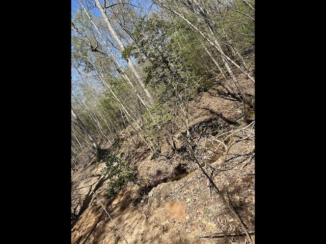 TR2 E New Hope Rd E, Ellijay, GA 30536