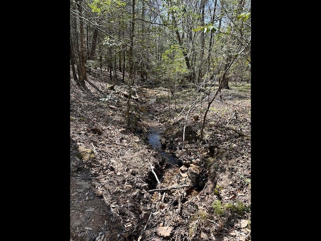 TR2 E New Hope Rd E, Ellijay, GA 30536
