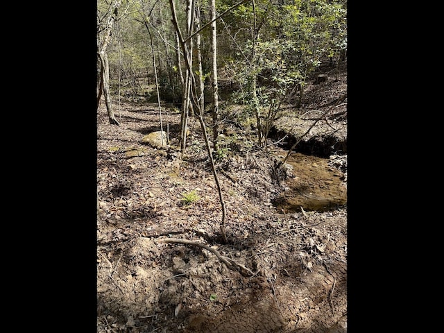 TR2 E New Hope Rd E, Ellijay, GA 30536