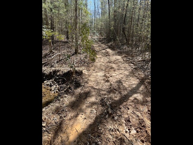 TR2 E New Hope Rd E, Ellijay, GA 30536