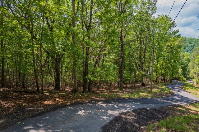 9806 Fairway Dr, Jasper, GA 30143