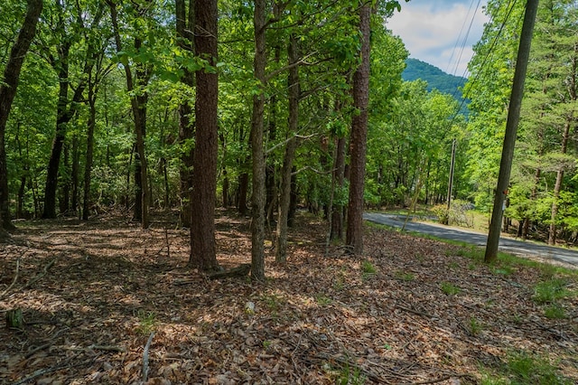 9806 Fairway Dr, Jasper, GA 30143