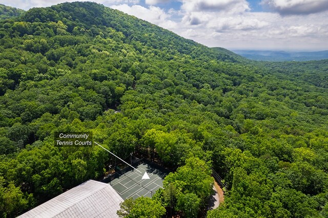 9806 Fairway Dr, Jasper, GA 30143