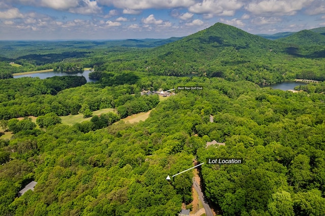 9806 Fairway Dr, Jasper, GA 30143