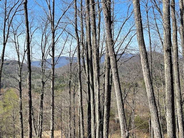 Address Not Disclosed, Hayesville NC, 28904 land for sale