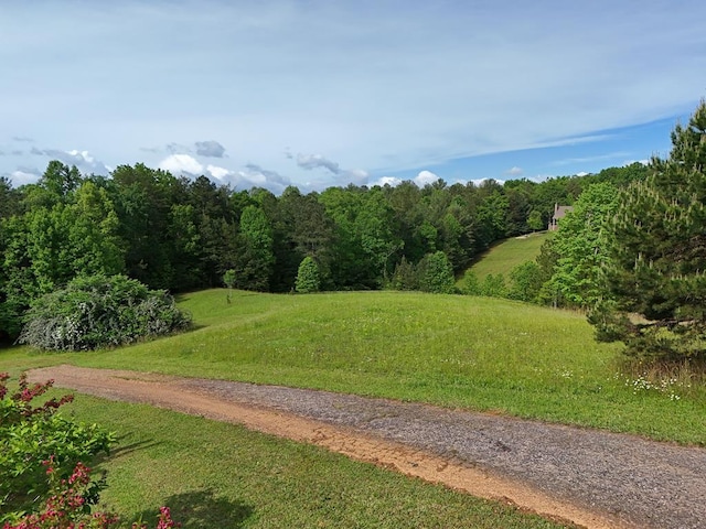 Listing photo 2 for LT18/19 Pond Overlook Ln, Morganton GA 30560