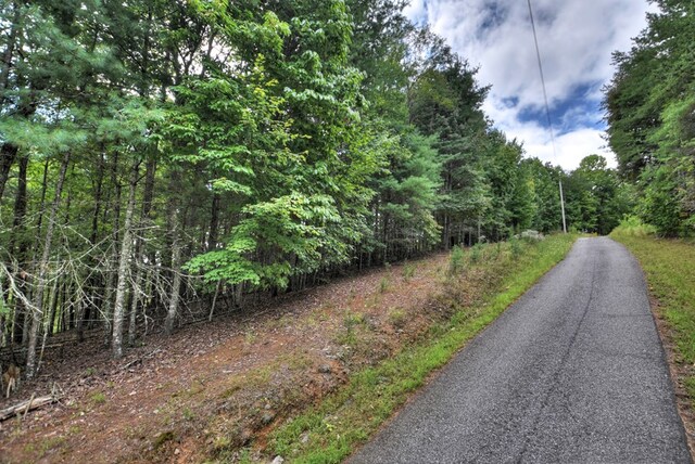 Listing photo 3 for LOT14 Mull Ln, Morganton GA 30560