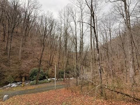 5575 Rainbow Springs Rd, Franklin, NC 28734 - view of woods