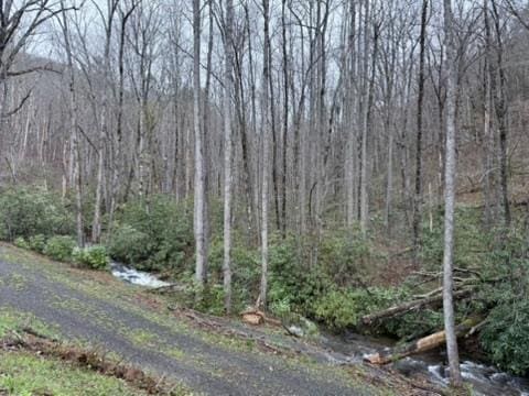 5575 Rainbow Springs Rd, Franklin, NC 28734 - view of street with a wooded view