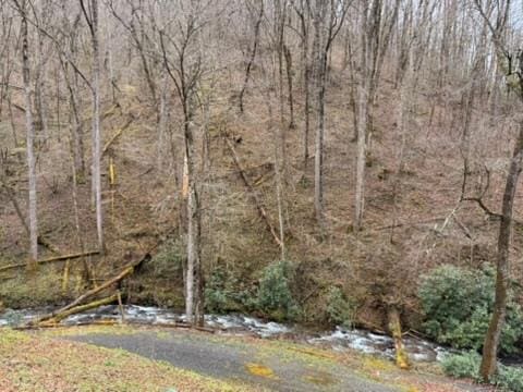 5575 Rainbow Springs Rd, Franklin, NC 28734 - view of yard