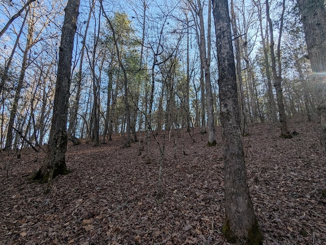 Listing photo 2 for 0 Ivy Log Dr, Blairsville GA 30546