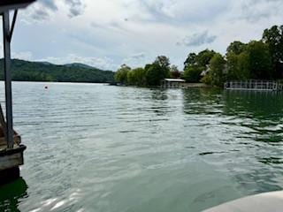 209B N Berrong St, Hiawassee, GA 30546 - water view