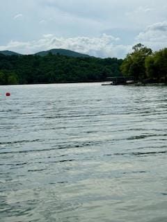 209B N Berrong St, Hiawassee, GA 30546 - water view with a forest