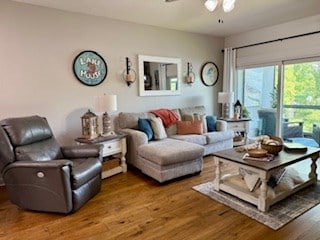 209B N Berrong St, Hiawassee, GA 30546 - living area with a ceiling fan and wood finished floors