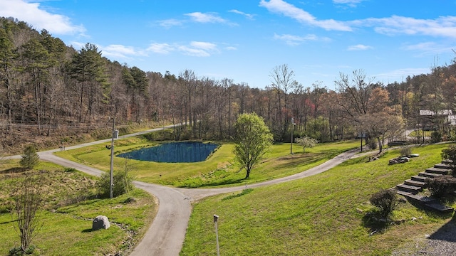 view of home's community featuring a yard