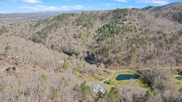 bird's eye view featuring a water and mountain view