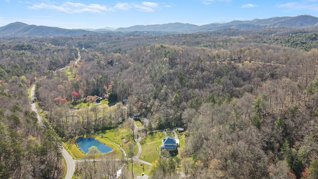 bird's eye view with a water and mountain view