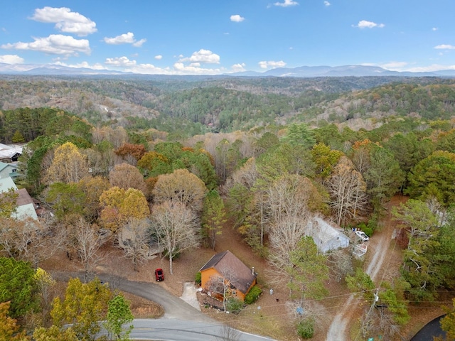 bird's eye view with a mountain view