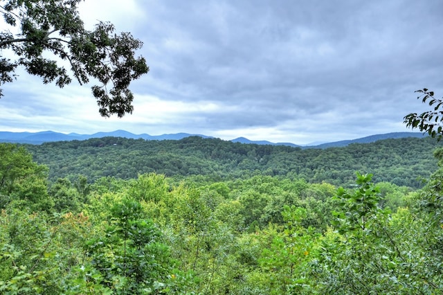 view of mountain feature