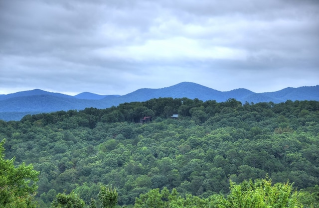 property view of mountains