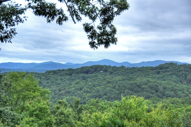 property view of mountains