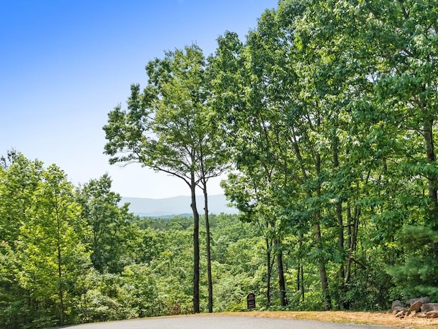 0 Osceola Dr, Lot Ellijay, GA 30540