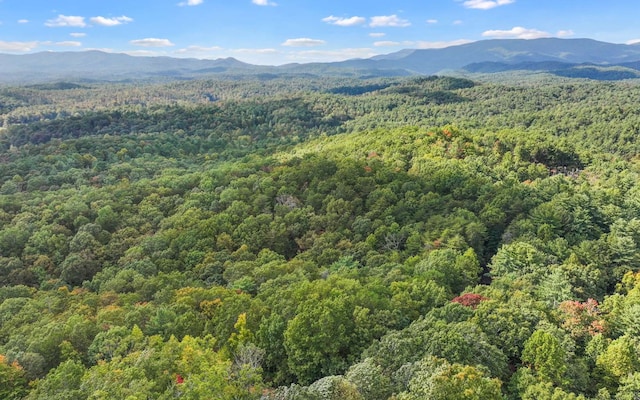 0 Osceola Dr, Lot Ellijay, GA 30540