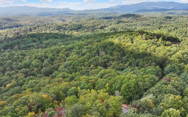 0 Osceola Dr, Lot Ellijay, GA 30540