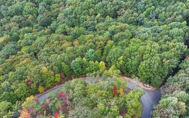 0 Osceola Dr, Lot Ellijay, GA 30540
