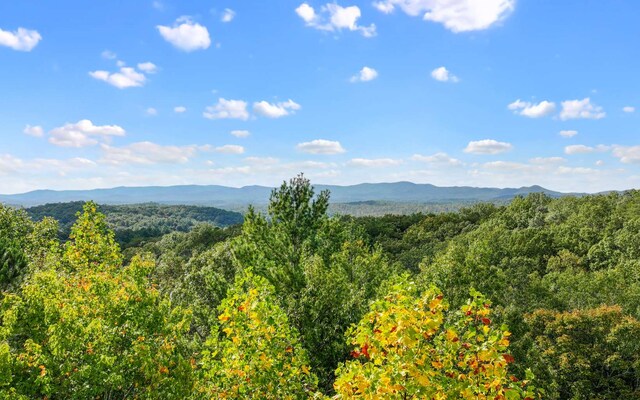 0 Osceola Dr, Lot Ellijay, GA 30540