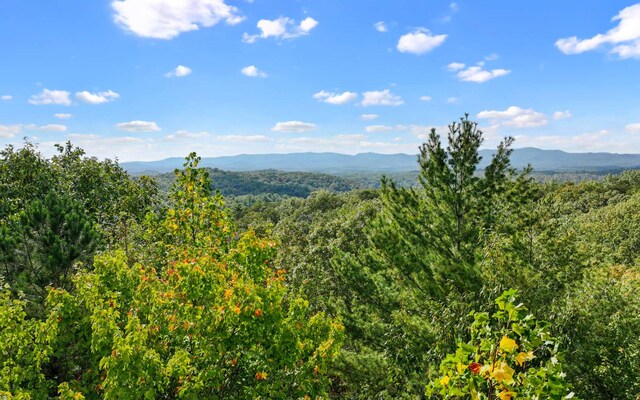 0 Osceola Dr, Lot Ellijay, GA 30540