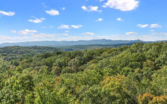 0 Osceola Dr, Lot Ellijay, GA 30540