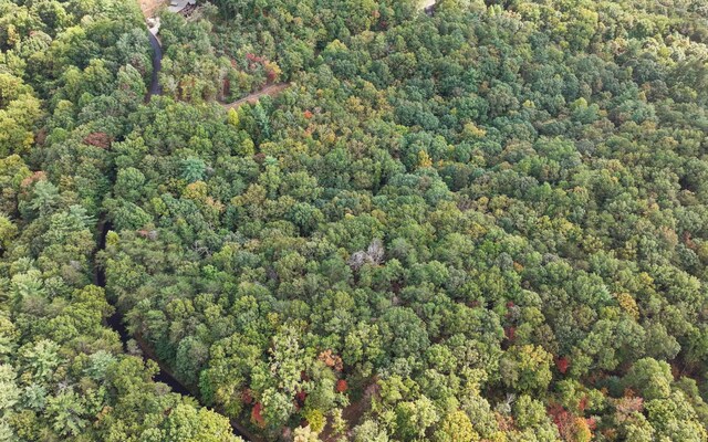 0 Osceola Dr, Lot Ellijay, GA 30540