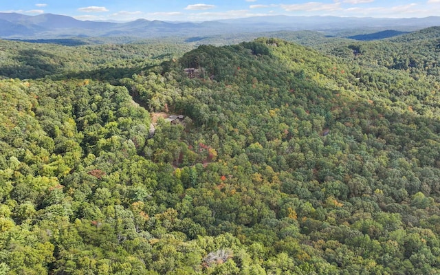 0 Osceola Dr, Lot Ellijay, GA 30540