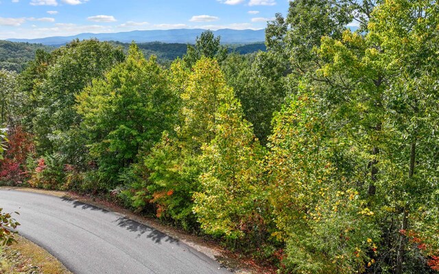 0 Osceola Dr, Lot Ellijay, GA 30540