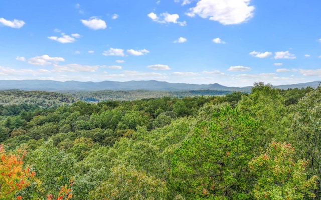 0 Osceola Dr, Lot Ellijay, GA 30540