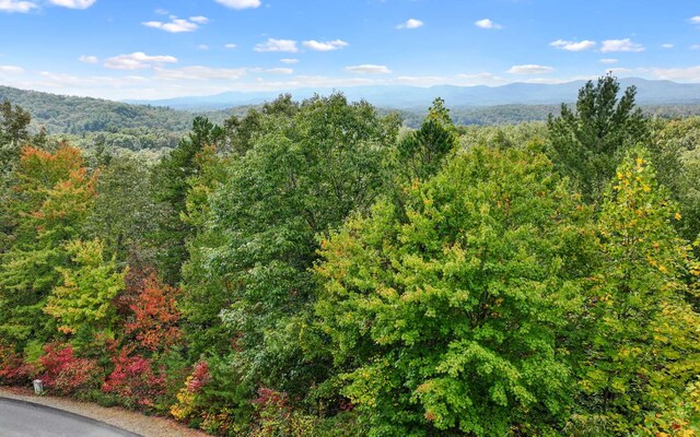 0 Osceola Dr, Lot Ellijay, GA 30540