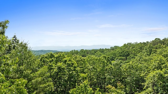 0 Osceola Dr, Lot Ellijay, GA 30540
