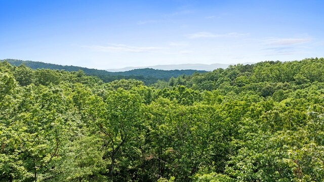 0 Osceola Dr, Lot Ellijay, GA 30540